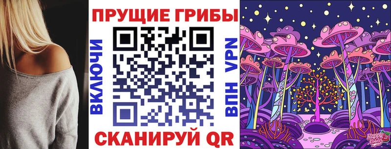 Псилоцибиновые грибы прущие грибы  площадка клад  Энем 