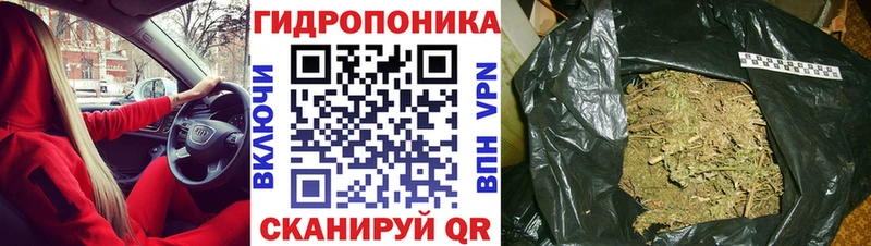 Конопля марихуана Энем